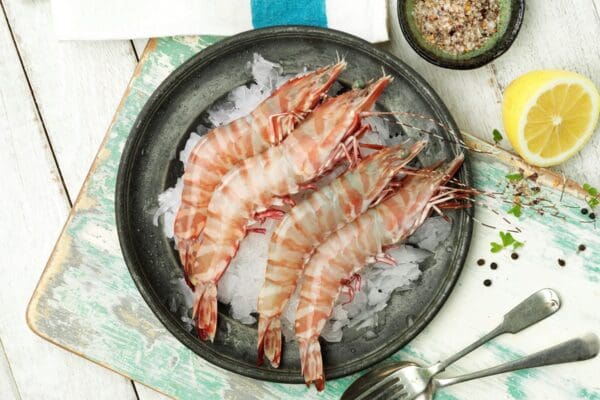 Whole Australian Tiger Prawns