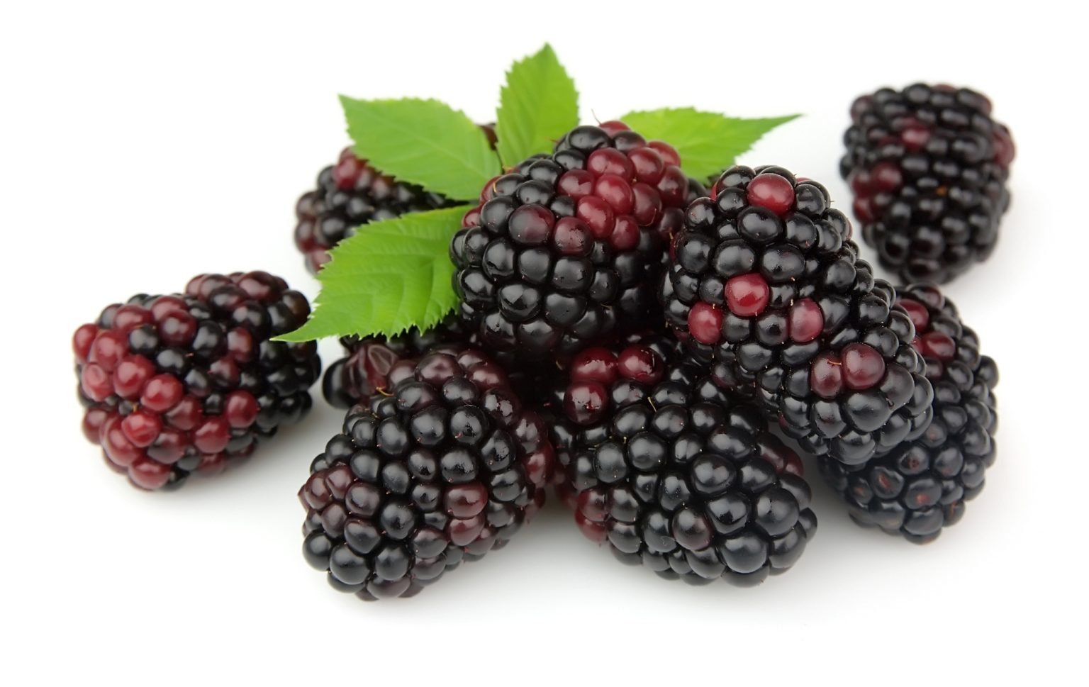 Blackberries Markwell Foods New Zealand