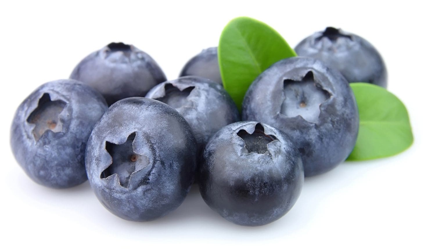 Blueberries Markwell Foods New Zealand