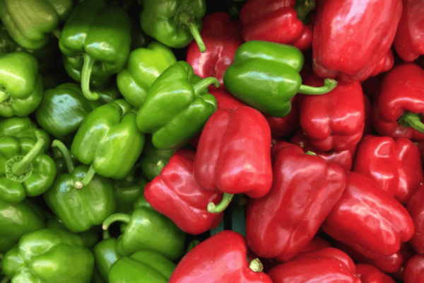 Red & Green Capsicum Range