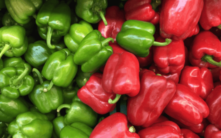 Red & Green Capsicum Range